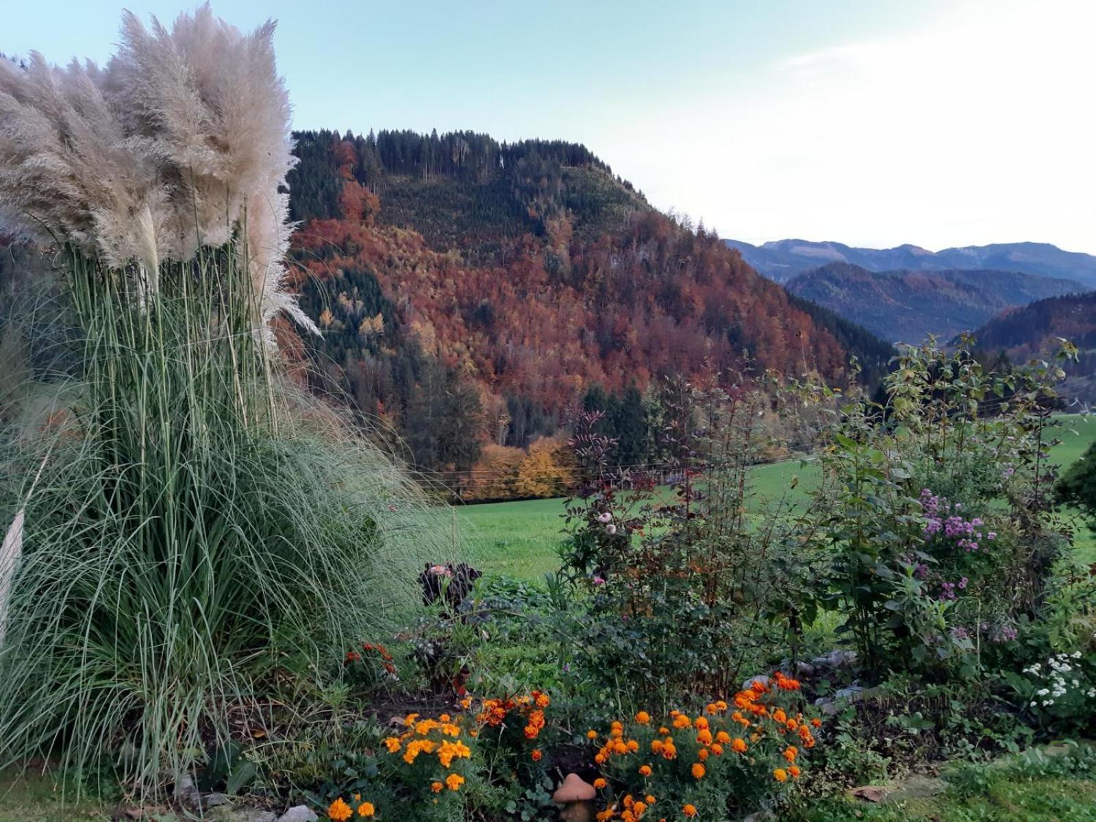 Villa Biobauernhof Poidlbauer Göstling an der Ybbs Exterior foto