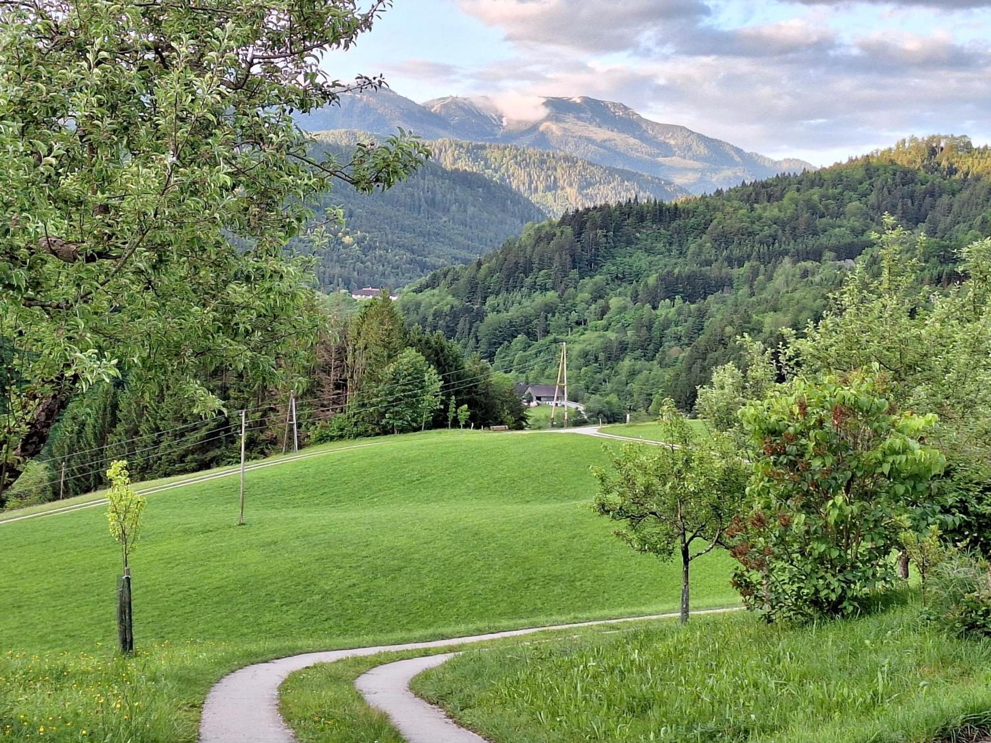 Villa Biobauernhof Poidlbauer Göstling an der Ybbs Exterior foto